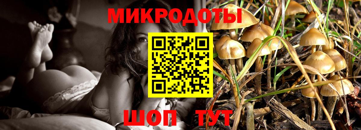Мариинск  Псилоцибиновые грибы GOLDEN TEACHER  цена   Вход с VPN 